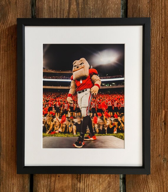 Uga Georgia Bulldogs Hairy Dawg Hype Mascot Framed Photo Print Graduation Gift Dorm Rooms Dawg Cave Fraternity Sorority Home Decor