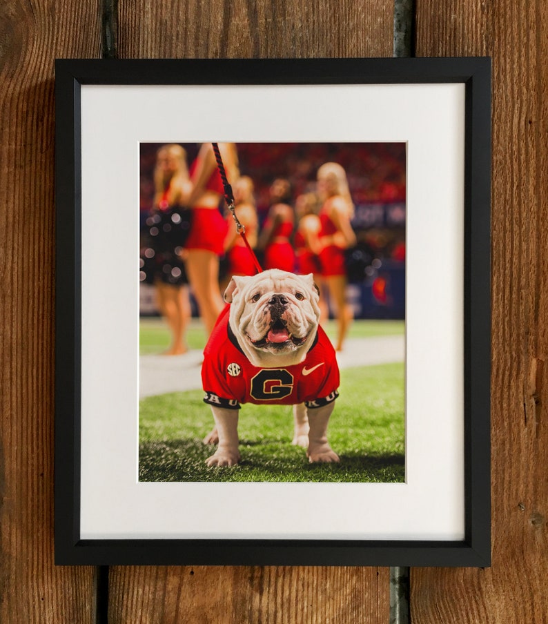 Uga Georgia Bulldogs X Sec Champ Mascot Framed Photo Image 0