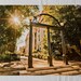 UGA: Georgia Bulldogs The Arch Campus Photo Picture Print, Graduation Gift, Dorm Rooms, Dawg Cave, Fraternity & Sorority Home Decor for Fans 