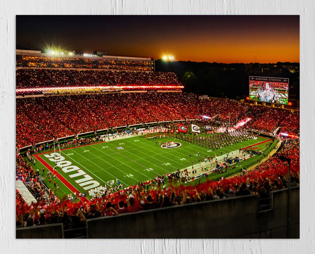 UGA: Georgia Bulldogs Dawgs Vs Notre Dame Photo Picture Print