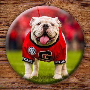 Uga X Mascot 3&quot; Pin-Back Button - Georgia Bulldogs Tailgating & Gifts
