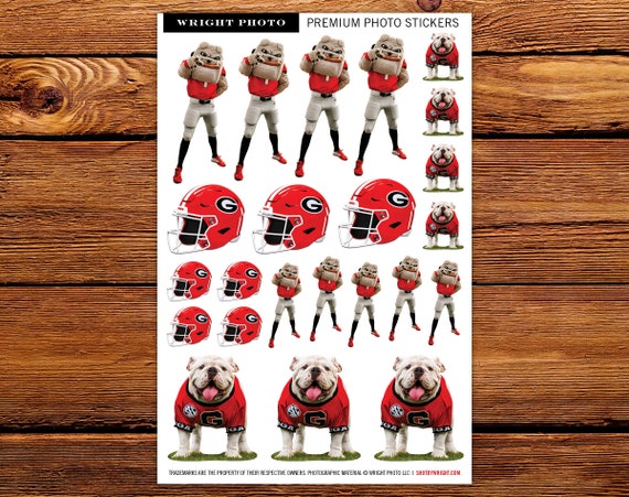 UGA Georgia Bulldogs Decal Sticker Sheet 23 Small Premium Photo for Kids &  Adults UGA X Hairy Dawg Helmet Party, Kids, Tailgate 