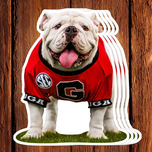 Georgia Bulldogs Vinyl Mascot Decal Sticker - Etsy
