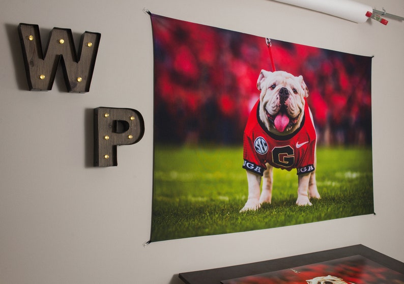 Uga Georgia Bulldogs Uga X Mascot Tapestry Photo Print Big Sizes For Kids Dawg Cave Dorm Rooms Home Decor For Lake Beach House
