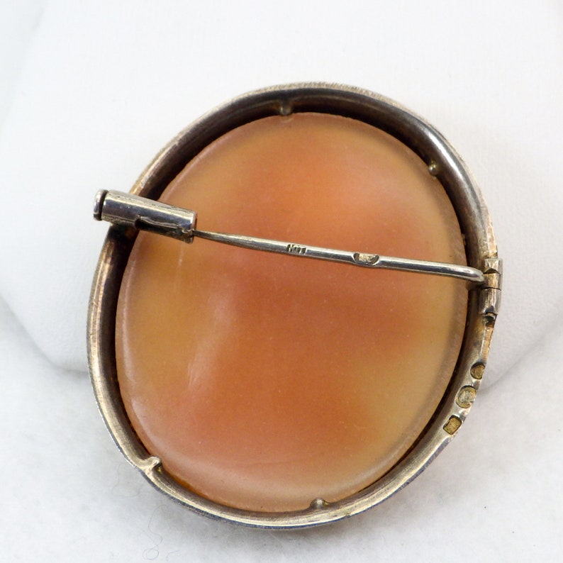 Antique French Celluloid Cameo Brooch Trombone Clasp Etsy