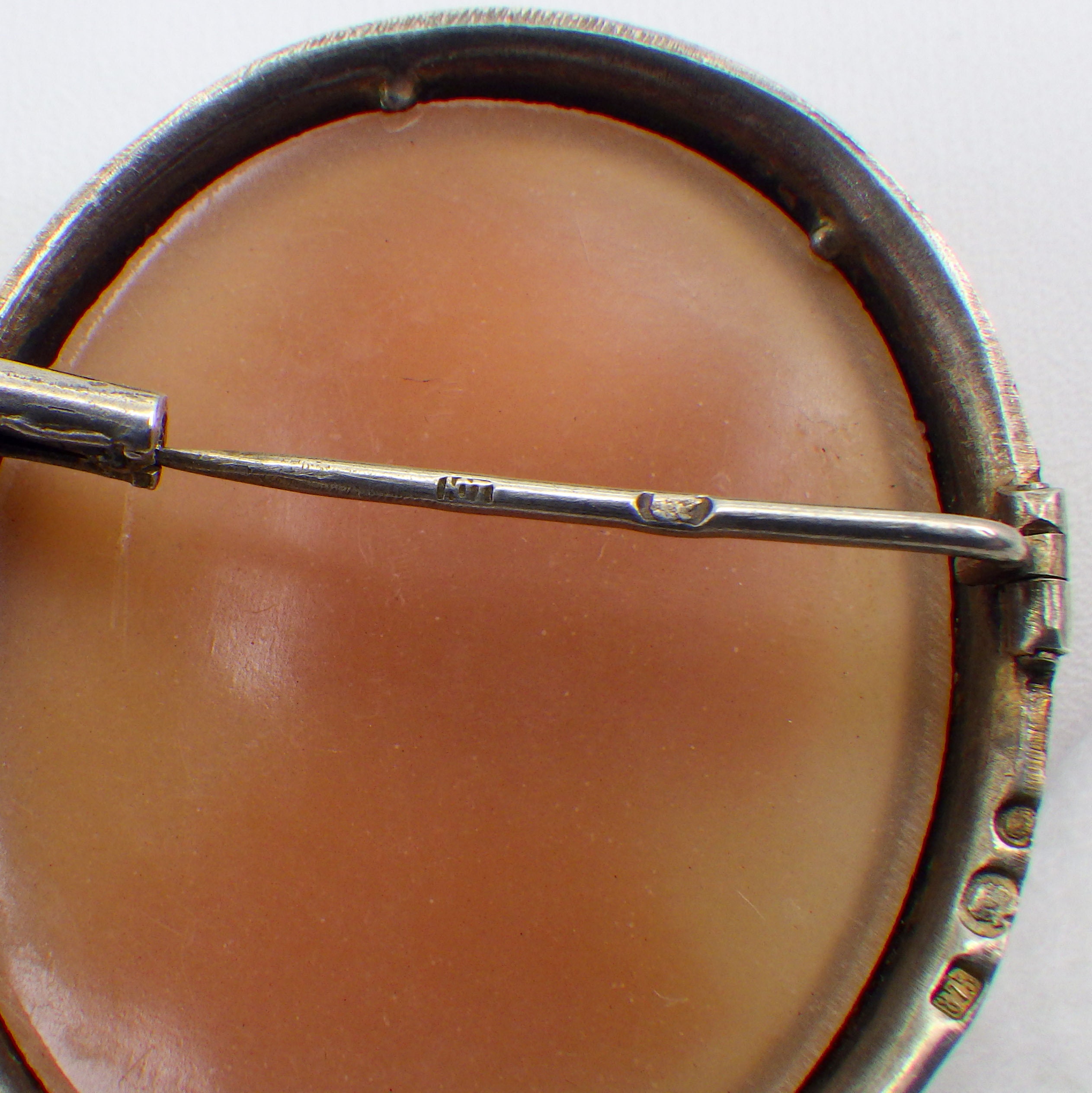 Antique French Celluloid Cameo Brooch Trombone Clasp Etsy