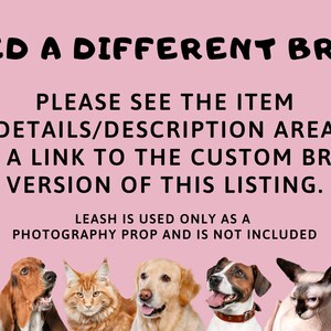 Great-Dane Mom Hat: Women's Dog Embroidered Paw Print Baseball Cap, Gift Present Clothing image 4