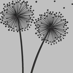 May include: Two black dandelion seed heads with stems against a gray background. The seed heads are in full bloom and have many seeds attached.