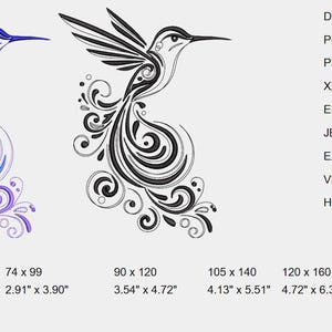 Hummingbird in Patterns - Etsy