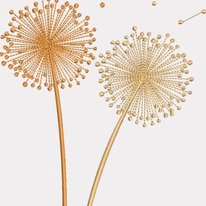 May include: Two golden dandelion seed heads with delicate stems against a white background. The seed heads are in different stages of dispersal, with some seeds already floating away.