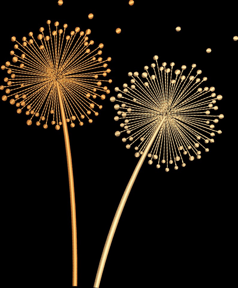 May include: Two gold dandelion-like flowers with stems against a black background. The flower on the left is a darker gold color and the flower on the right is a lighter gold color.
