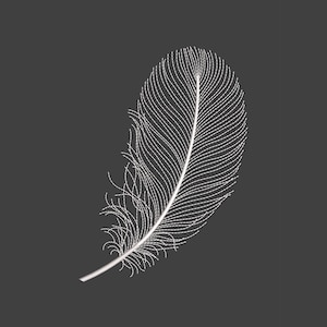 Puede incluir: Ilustración de una pluma blanca sobre un fondo gris oscuro. La pluma está detallada con finas líneas, creando una apariencia delicada y aireada. El diseño es simple y elegante, adecuado para diversas aplicaciones decorativas.