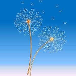 May include: Two white dandelion seed heads with brown stems against a blue background.
