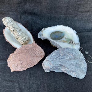 May include: Three oyster shell-shaped containers. One holds a bundle of sage tied with string. Another contains a blue-green stone and a crystal pendulum. The third shell is empty. The shells are various shades of brown, white, and gray.