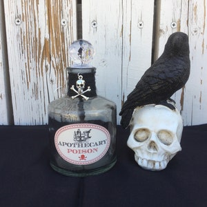 Apothecary Poison Bottle, Potion Bottle, Skull and Cross Bones, Halloween Decorations, Storage Bottle, Apothecary Jar, Halloween Poison Jar
