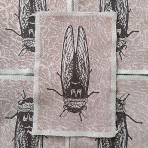 May include: A rectangular patch featuring a detailed brown cicada illustration with outstretched wings. The insect is centered on a pink background with a subtle pattern. The patch has a white border and is part of a set.