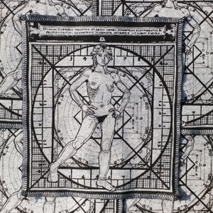 Pode incluir: Uma ilustração em preto e branco de uma figura nua em pé dentro de uma estrutura geométrica gradeada. O texto "HUMANI CORPORIS MENSURA STABEO ONNET JYMMETRIAS EVRYTHNGATAS & PROPORTIONATAS GEOMETRICO SCHEMATE INVENTRE VI ADEST FIVRA" está impresso acima da figura.