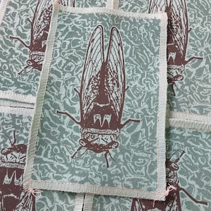 May include: Rectangular patches with a brown cicada insect design on a teal background. The cicada illustration is detailed, with visible wings and body segments. The patches have a light green border and a patterned background.