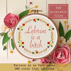 Lebron James è una cagna divertente e sovversiva PATTERN punto croce download immediato Samwise Simple Stitch