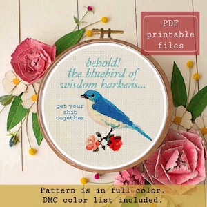 SCHEMA punto croce moderno divertente e sovversivo l'uccello blu della saggezza! Download immediato PDF Samwise Simple Stitch