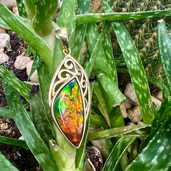 Free Form Canadian Ammolite Pendant set in 14 Yellow Gold.