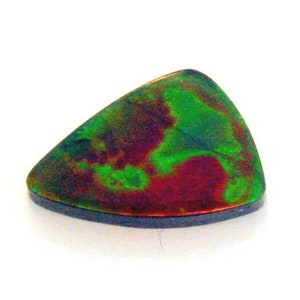 Natural Canadian Fossil Shell 0.70X0.45 Inches. Four Color Natural Free Form.
