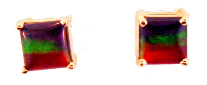 Pair of Square Cut Canadian Ammolite set in 14k Rose Gold