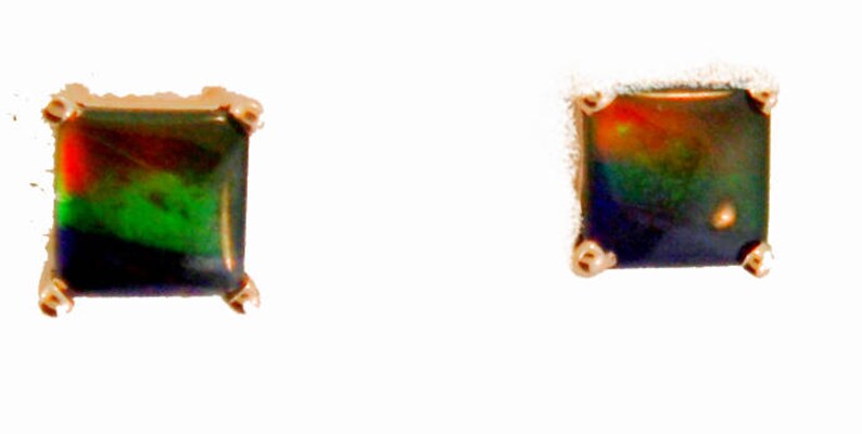 Pair of Square Cut Canadian Ammolite set in 14k Rose Gold