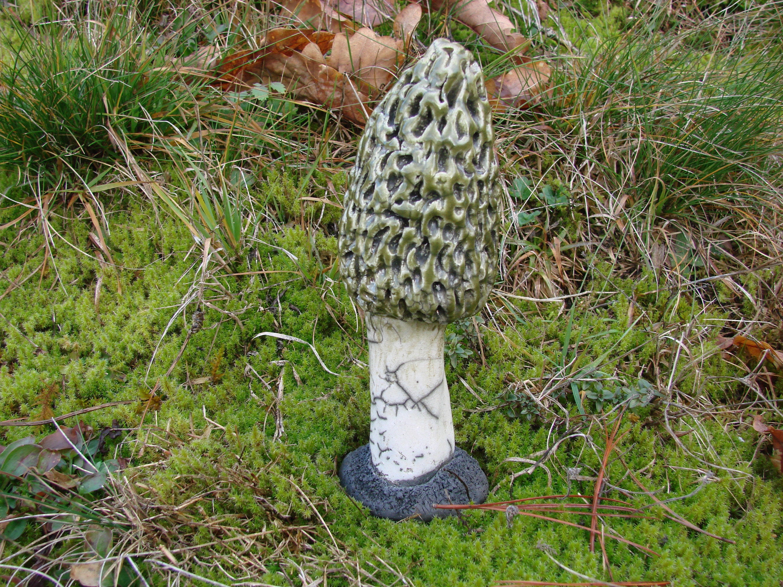 Champignon Morille Raku - Décoration Originale