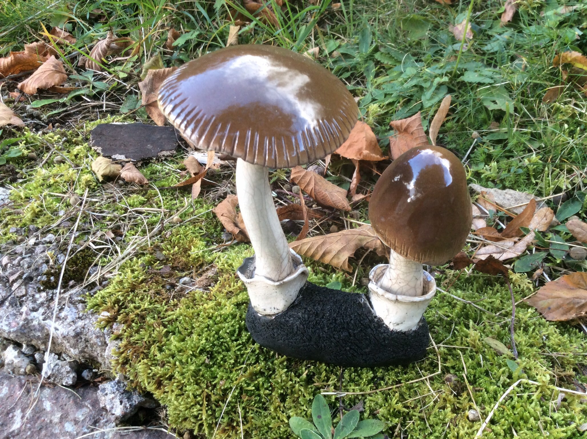 Champignon Amanite Vaginée ou Coucoumelle Raku - Décoration Originale