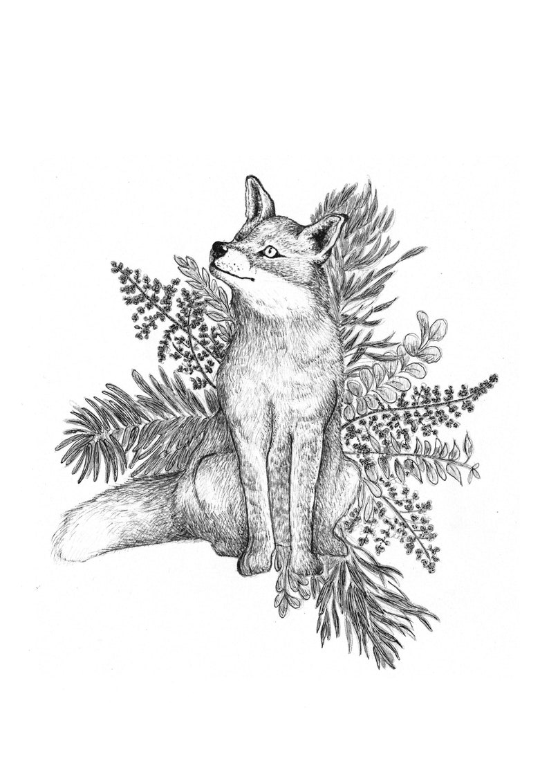 Fuchs / Herbst / Natur / Schwarz & Weiß / Monochrom / Tinte / Etsy