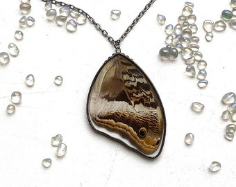 Collar de alas de mariposa real Mariposa Marrón alas mariposa Collar de la naturaleza Colgante de mariposa real Pequeño regalo para ella regalo único en su tipo