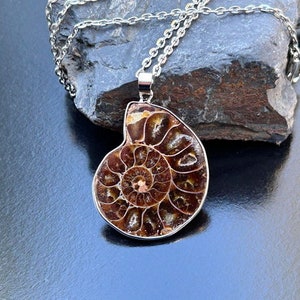 May include: A silver chain necklace with a brown ammonite fossil pendant. The fossil is polished and shows intricate details of the spiral.