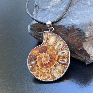 May include: A silver chain necklace with a pendant featuring a fossilized ammonite. The ammonite is a spiral shape with a brown and gold color.