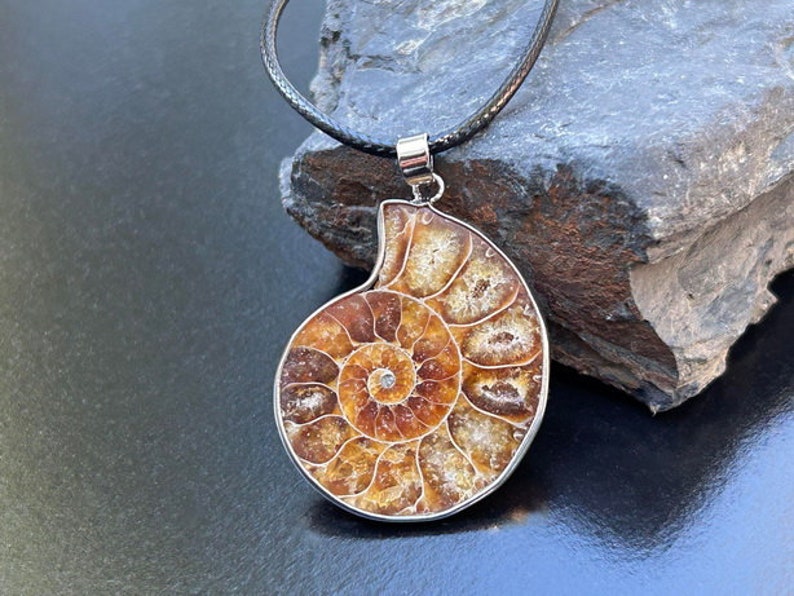 May include: A silver chain necklace with a pendant featuring a fossilized ammonite. The ammonite is a spiral shape with a brown and gold color.