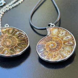 May include: Two silver necklaces with brown and gold ammonite fossil pendants. The pendants are set in a silver frame and have a spiral pattern.