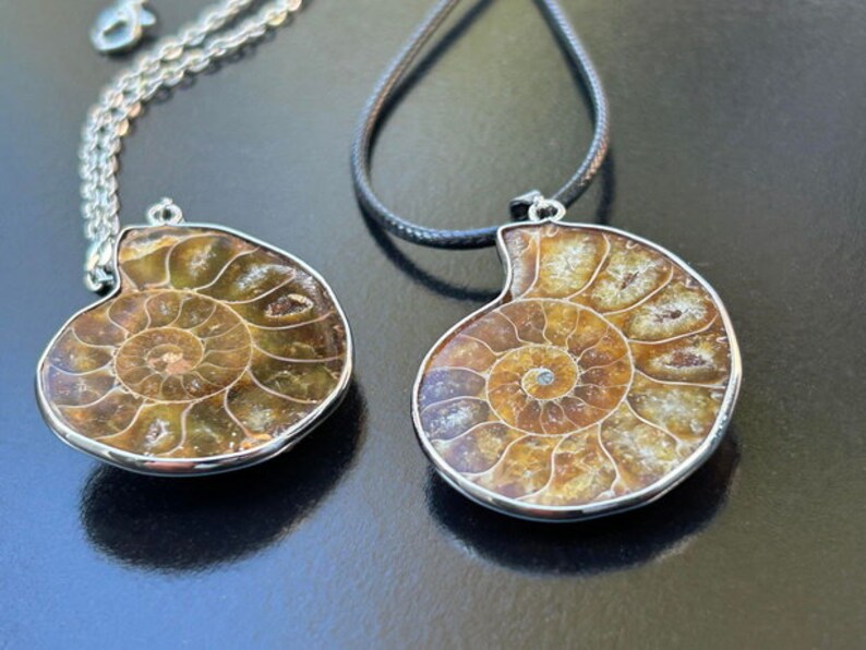 May include: Two silver necklaces with brown and gold ammonite fossil pendants. The pendants are set in a silver frame and have a spiral pattern.