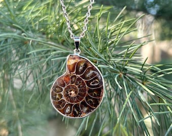 Collar con colgante de amonita natural, joyería terrenal, regalo, colgante de concha en espiral, amuleto de brujería, colgante de fósil de amonita