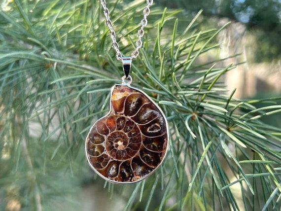 Natural Ammonite pendant necklace Earthy jewelry gift Spiral shell pendant charm Witchcraft amulet Ammonite fossil pendant