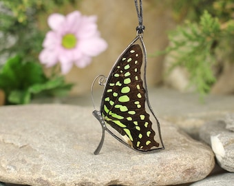 Collar de alas de mariposa real Alas verdes mariposa Collar de la naturaleza Colgante de mariposa real Pequeño regalo para su colgante de joyería de insectos real