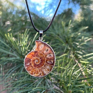 May include: A silver necklace with a brown and gold ammonite fossil pendant. The pendant is a spiral shape with a detailed, intricate design.