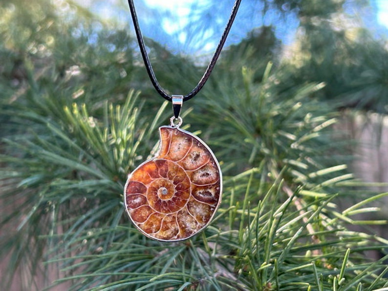 May include: A silver necklace with a brown and gold ammonite fossil pendant. The pendant is a spiral shape with a detailed, intricate design.