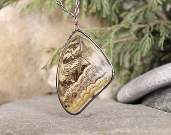 Collar de alas de mariposa Encanto colgante de mariposa real Colgante único mariposa Collar inspirado en la naturaleza Pequeño regalo para su novia hermana