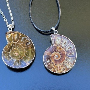May include: Two silver necklaces with fossilized ammonite pendants. The ammonites are brown and gold with a spiral pattern. One necklace has a silver chain and the other has a black cord.