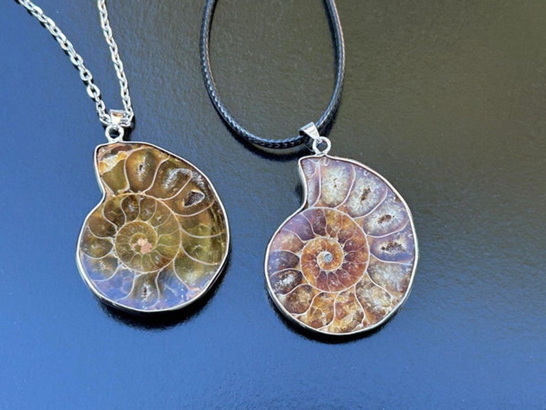May include: Two silver necklaces with fossilized ammonite pendants. The ammonites are brown and gold with a spiral pattern. One necklace has a silver chain and the other has a black cord.