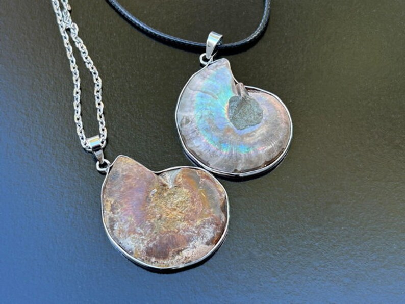 May include: Two silver necklaces with iridescent ammonite fossil pendants. One pendant is a light brown color, the other is a pale iridescent blue.