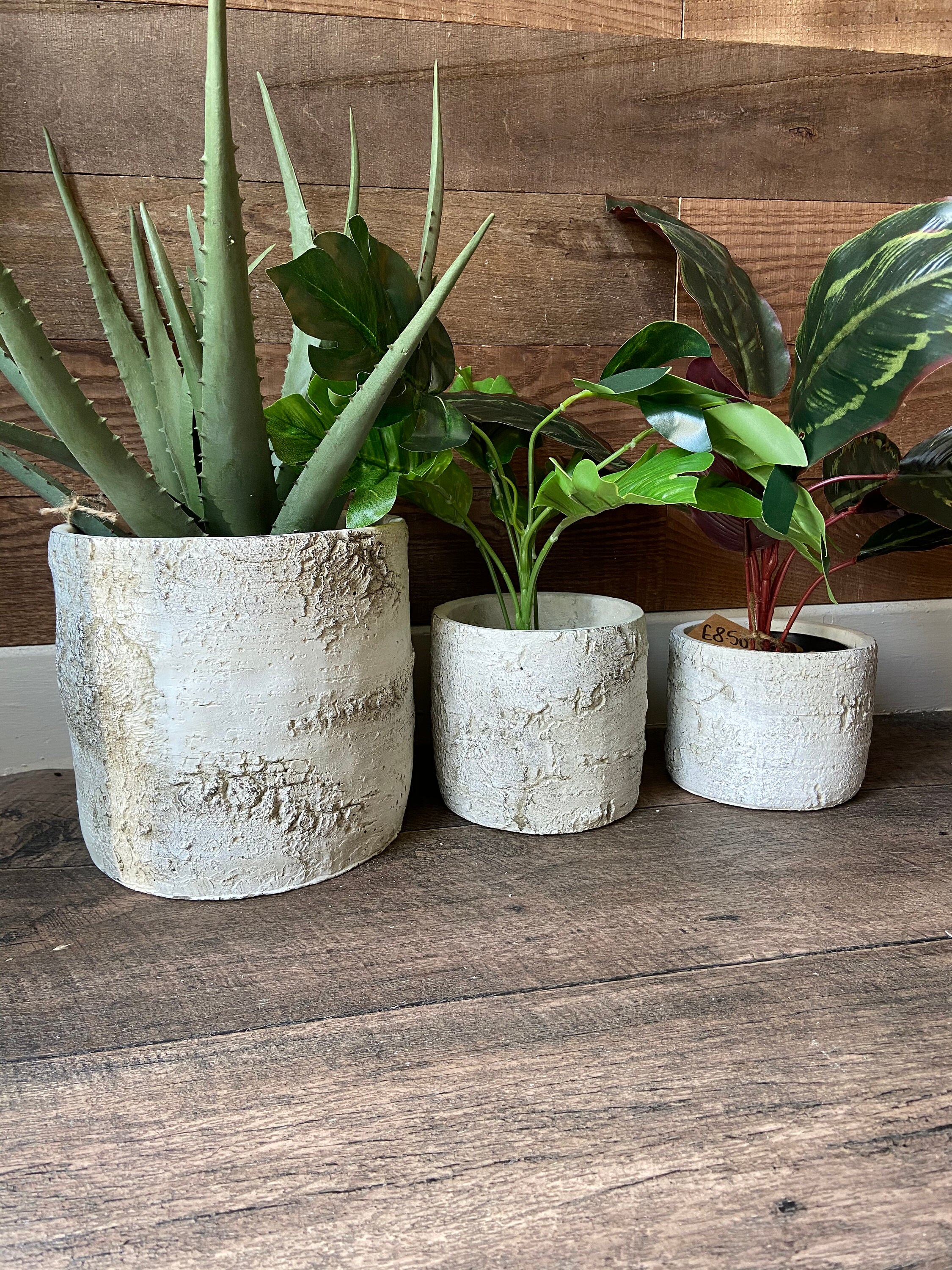 Rustic White Stone Bark Effect Plant Pot Bark effect Plant Etsy