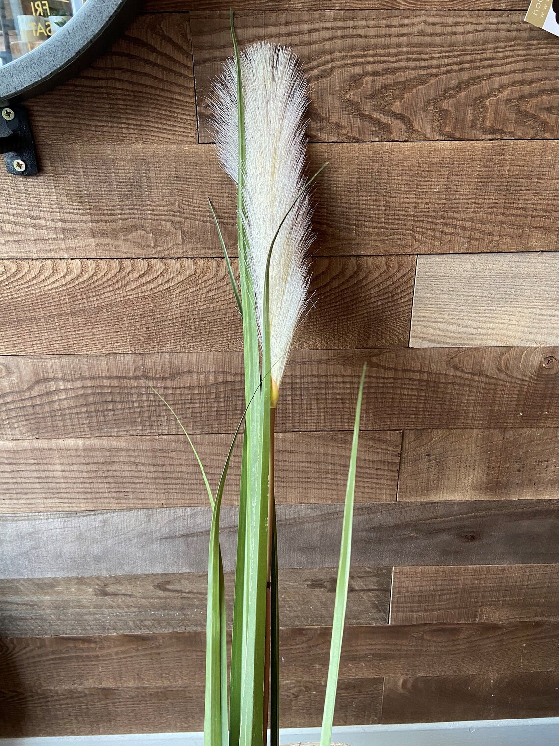 Artificial Pampas Grass Pampas Grass Feathered plant Etsy