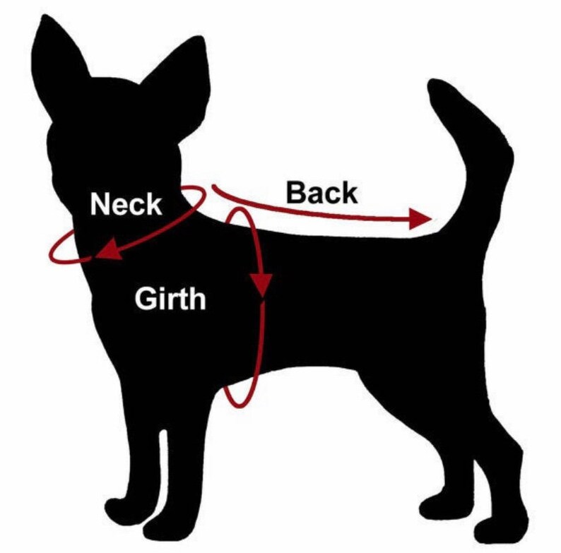 May include: A black silhouette of a dog showing measurement points for pet clothing. Red arrows and lines indicate the neck, girth, and back areas. The text labels Neck, Girth, and Back are clearly visible in white font against the black dog shape.