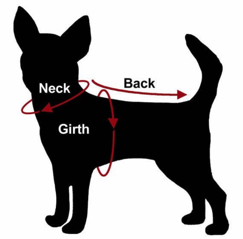 May include: A black silhouette of a dog showing measurement points for pet apparel. Red arrows and lines indicate the neck circumference, the girth around the chest, and the length of the back. The words Neck, Girth, and Back are printed in white.
